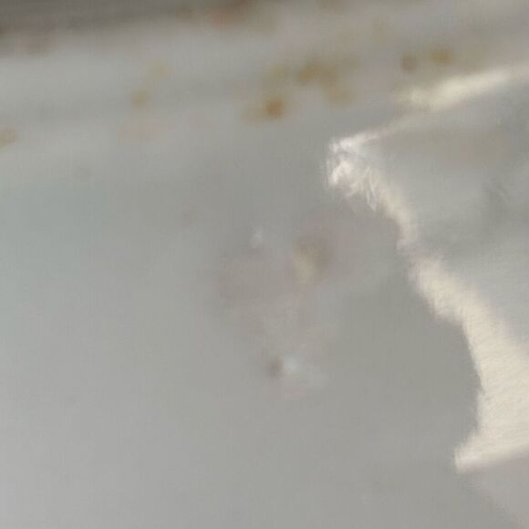 Jackson China B.P.O.E. 349 Elks Lodge DuBois Pa Sectional 10 1/2”  Plate - Picture 5 of 5